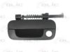 BLIC 6010-21-015417P Door Handle